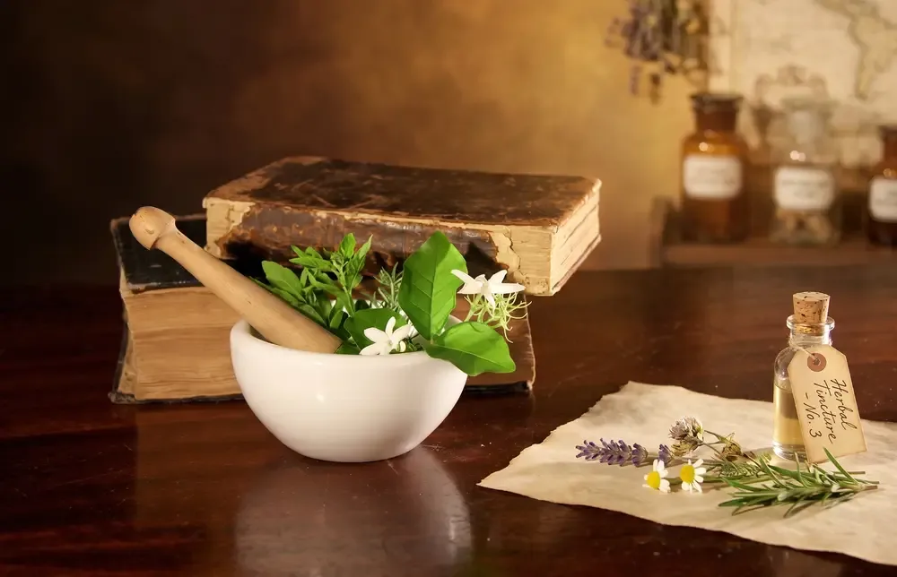 Suplemento natural Simpla360 — ingredientes de origen botánico