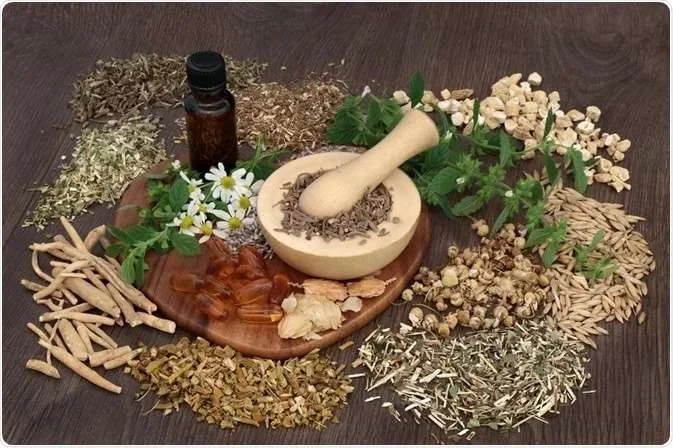 contacto HerbalVida