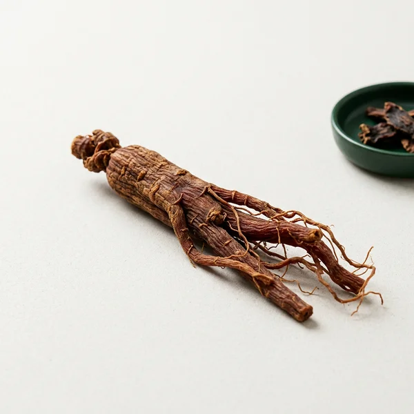 Ginseng