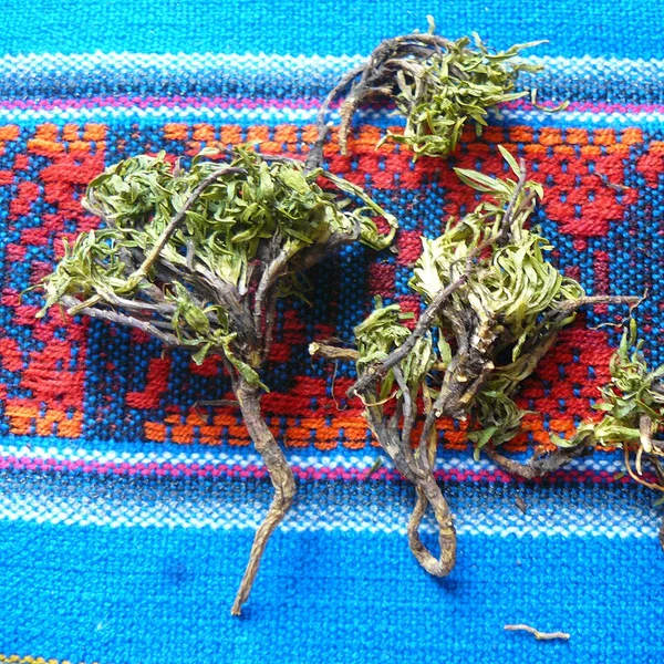 Hercampuri